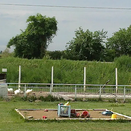 Salome * Musile di Piave